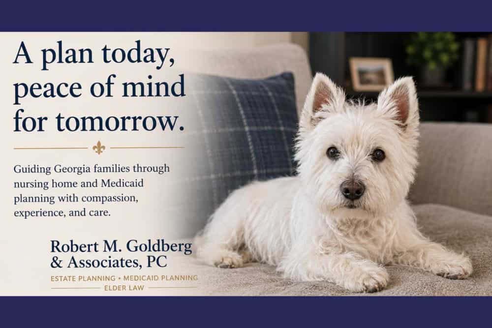 White fluffy dog sitting on sofa with the message "a plan today peace of mind tomorrow".